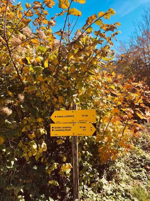 Ferienhof Am Landsberg Obergrünburg Eksteriør billede