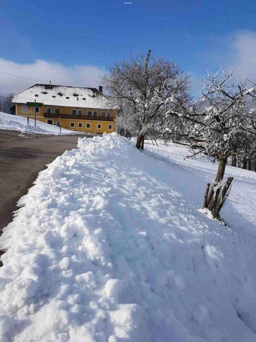 Ferienhof Am Landsberg Obergrünburg Eksteriør billede